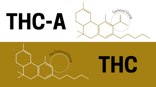 thc-a and thc